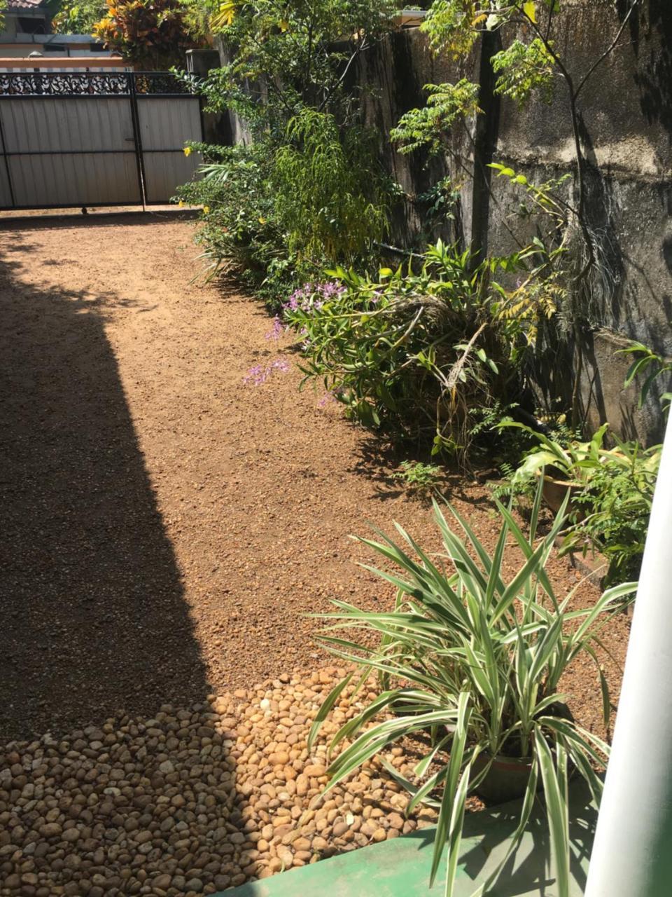 Vivid Lanka Bed & Breakfast Bentota Exterior photo